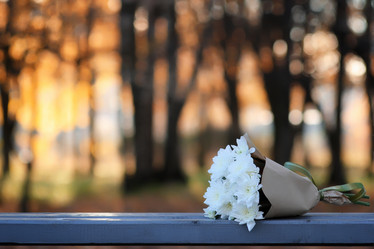 Similar image 20050923