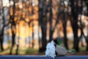 Similar image 20050924