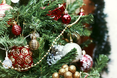 Similar image 20050928