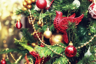 Similar image 20050929