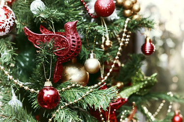 Similar image 20050930