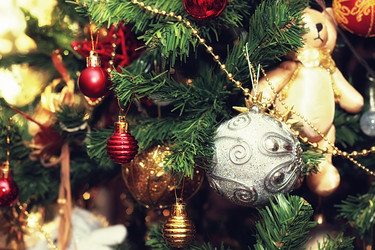 Similar image 20050931