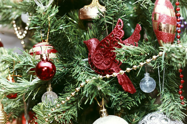 Similar image 20050933