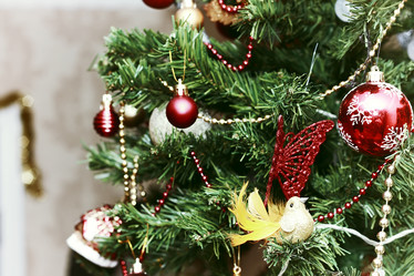 Similar image 20050935