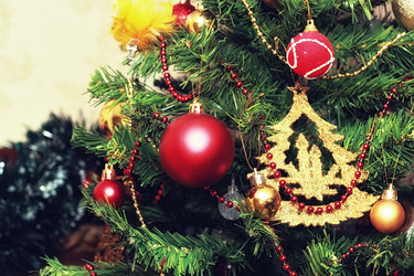 Similar image 20050938