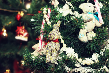 Similar image 20050940