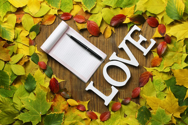 Similar image 20050947