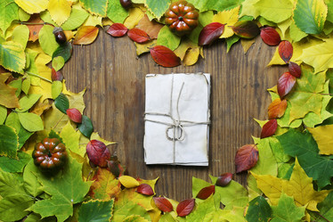 Similar image 20050952