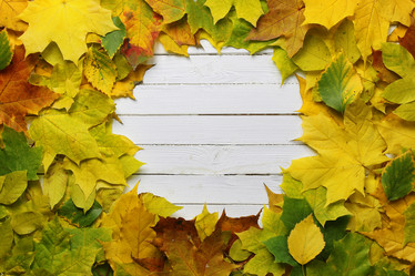 Similar image 20050964