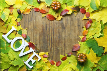 Similar image 20050965