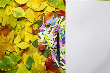 Similar image 20050968