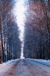 Similar image 20050974