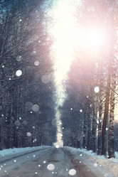 Similar image 20050975