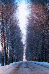 Similar image 20050976