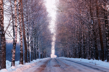 Similar image 20050978