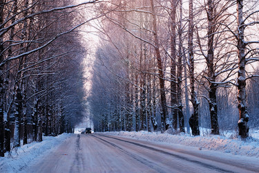 Similar image 20050979