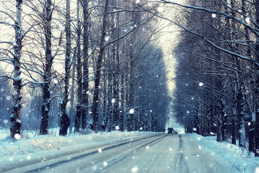 Similar image 20050981