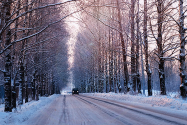 Similar image 20050982