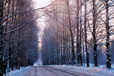 Similar image 20050983