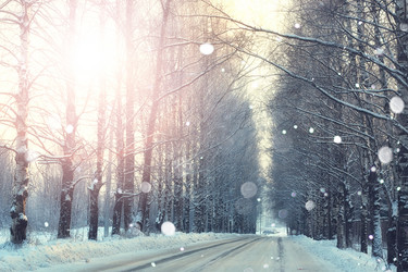 Similar image 20050984