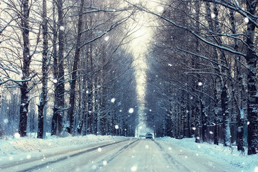 Similar image 20050985