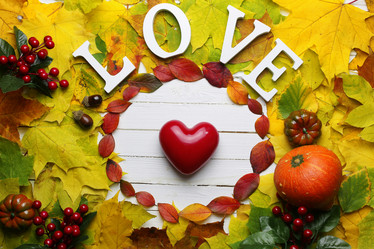 Similar image 20050986