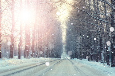 Similar image 20050987