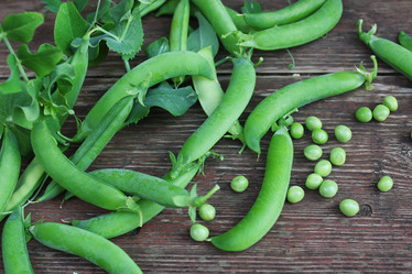 Similar image 20051013