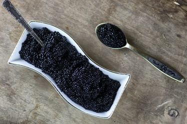 Similar image 20051026