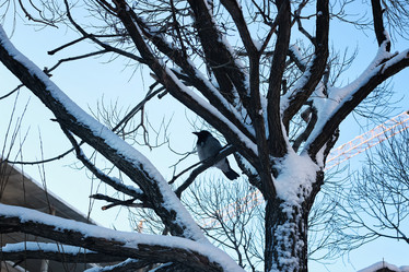 Similar image 20051071