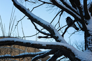 Similar image 20051072