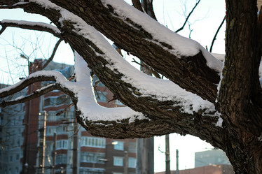 Similar image 20051079