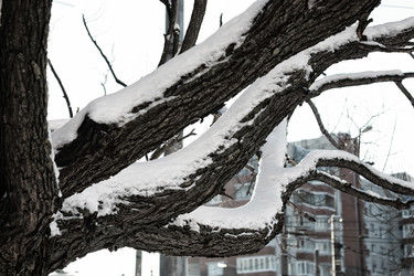 Similar image 20051081