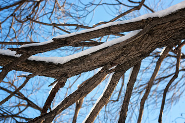 Similar image 20051084