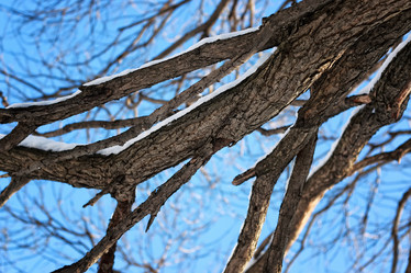 Similar image 20051086