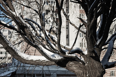 Similar image 20051088