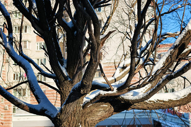 Similar image 20051089