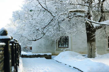 Similar image 20051095