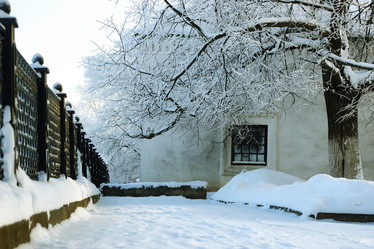 Similar image 20051096