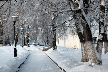 Similar image 20051099