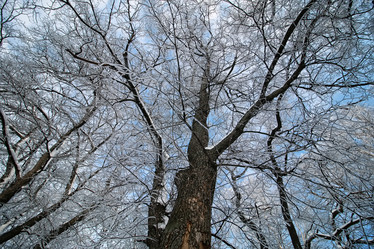 Similar image 20051100