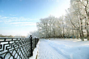 Similar image 20051106