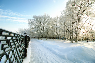 Similar image 20051107