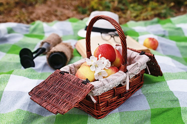 Similar image 20051113