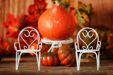 Similar image 20051115