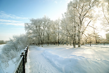 Similar image 20051117