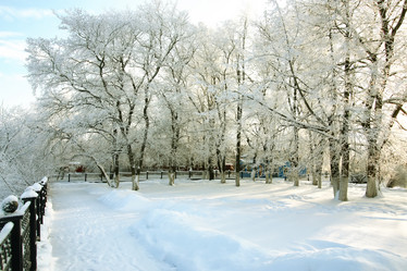 Similar image 20051119