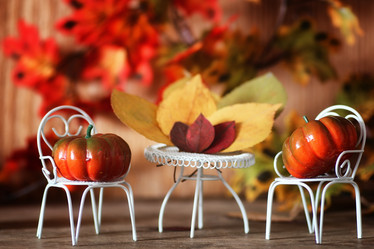 Similar image 20051120