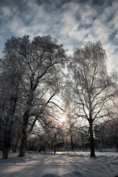 Similar image 20051122