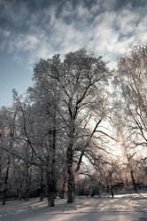 Similar image 20051124